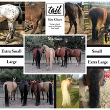 Load image into Gallery viewer, The Tail Boot