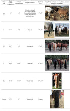 Load image into Gallery viewer, The Tail Boot